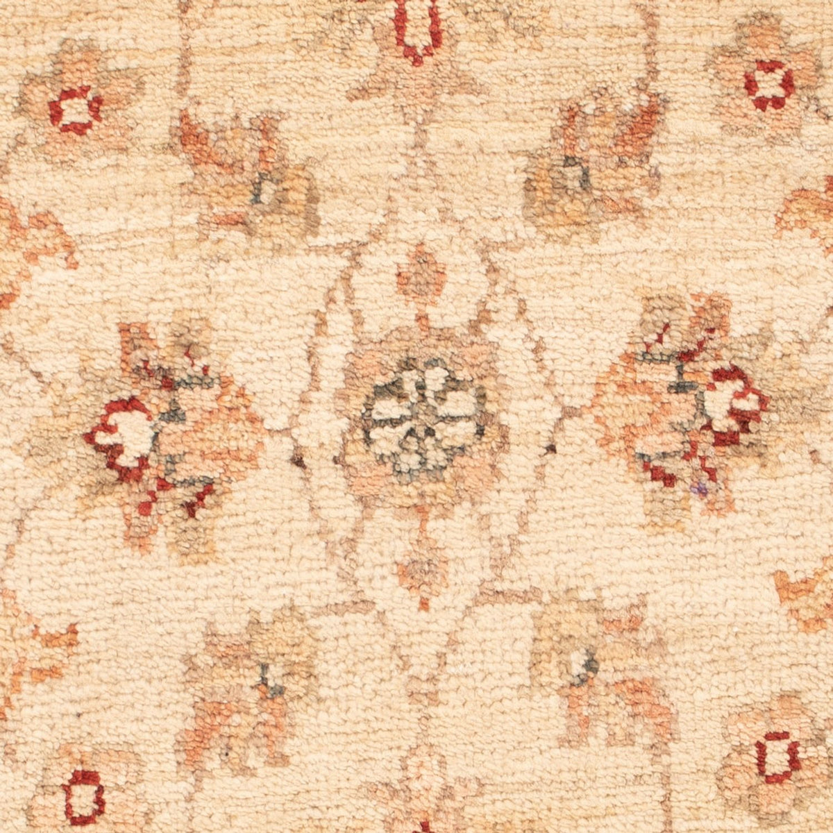 Tapis Ziegler - 76 x 50 cm - beige