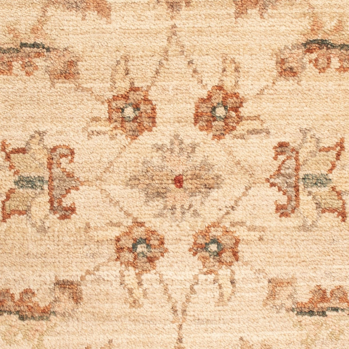 Tapis Ziegler - 69 x 49 cm - beige