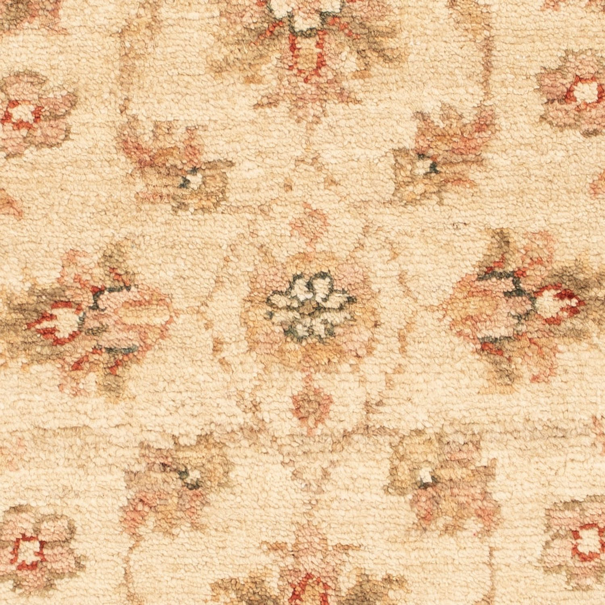 Tapis Ziegler - 67 x 52 cm - beige