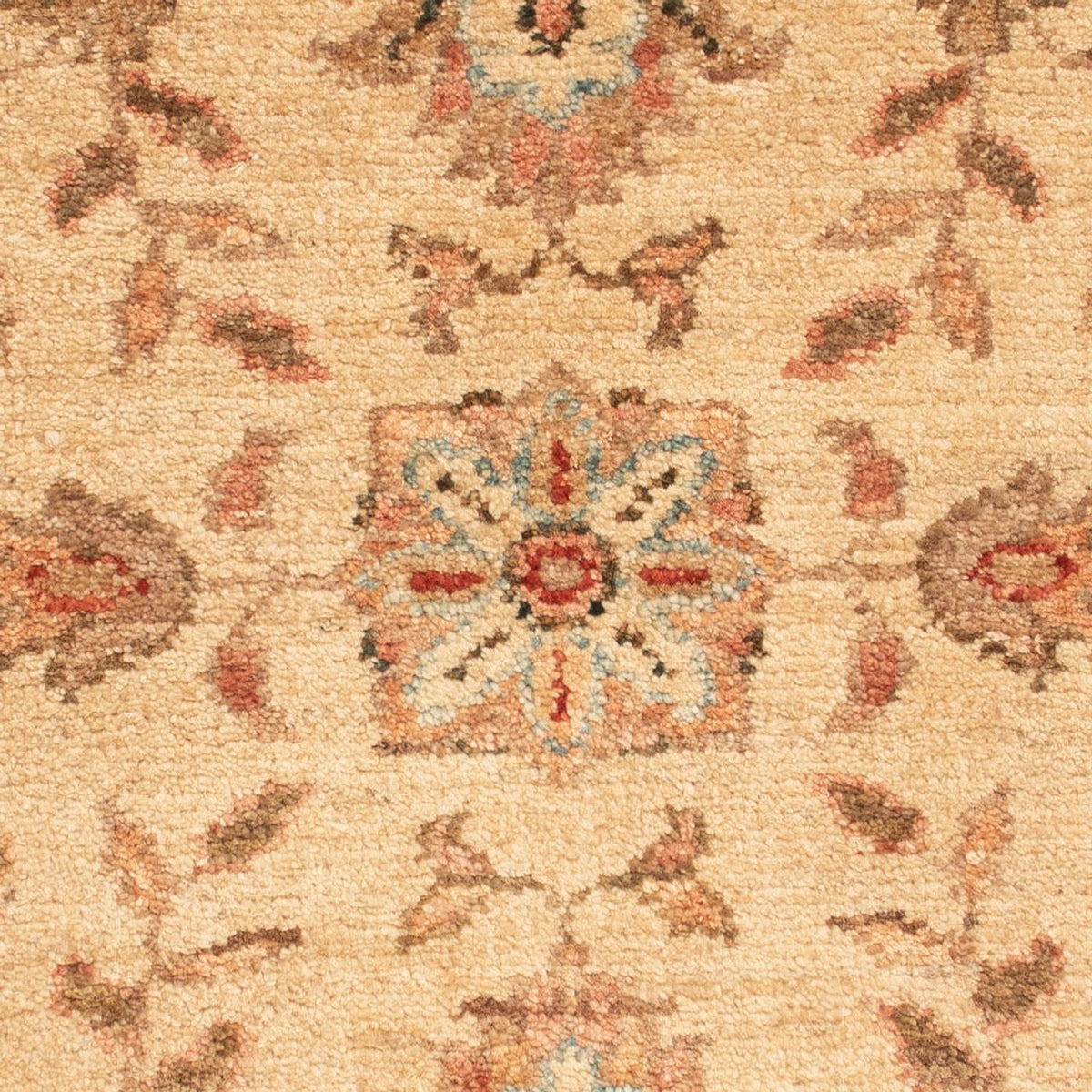 Tapis Ziegler carré  - 70 x 69 cm - beige