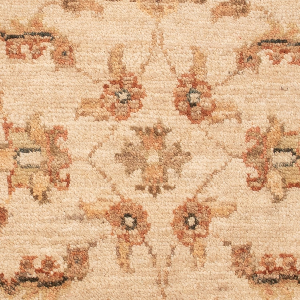 Tapis Ziegler - 72 x 52 cm - beige