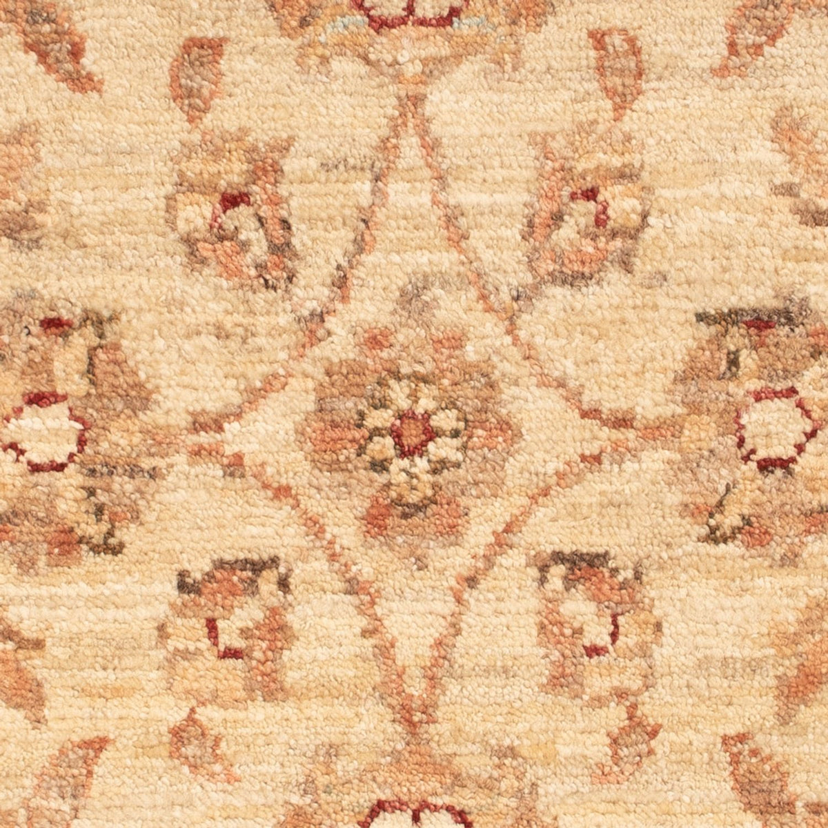 Tapis Ziegler - 73 x 52 cm - beige
