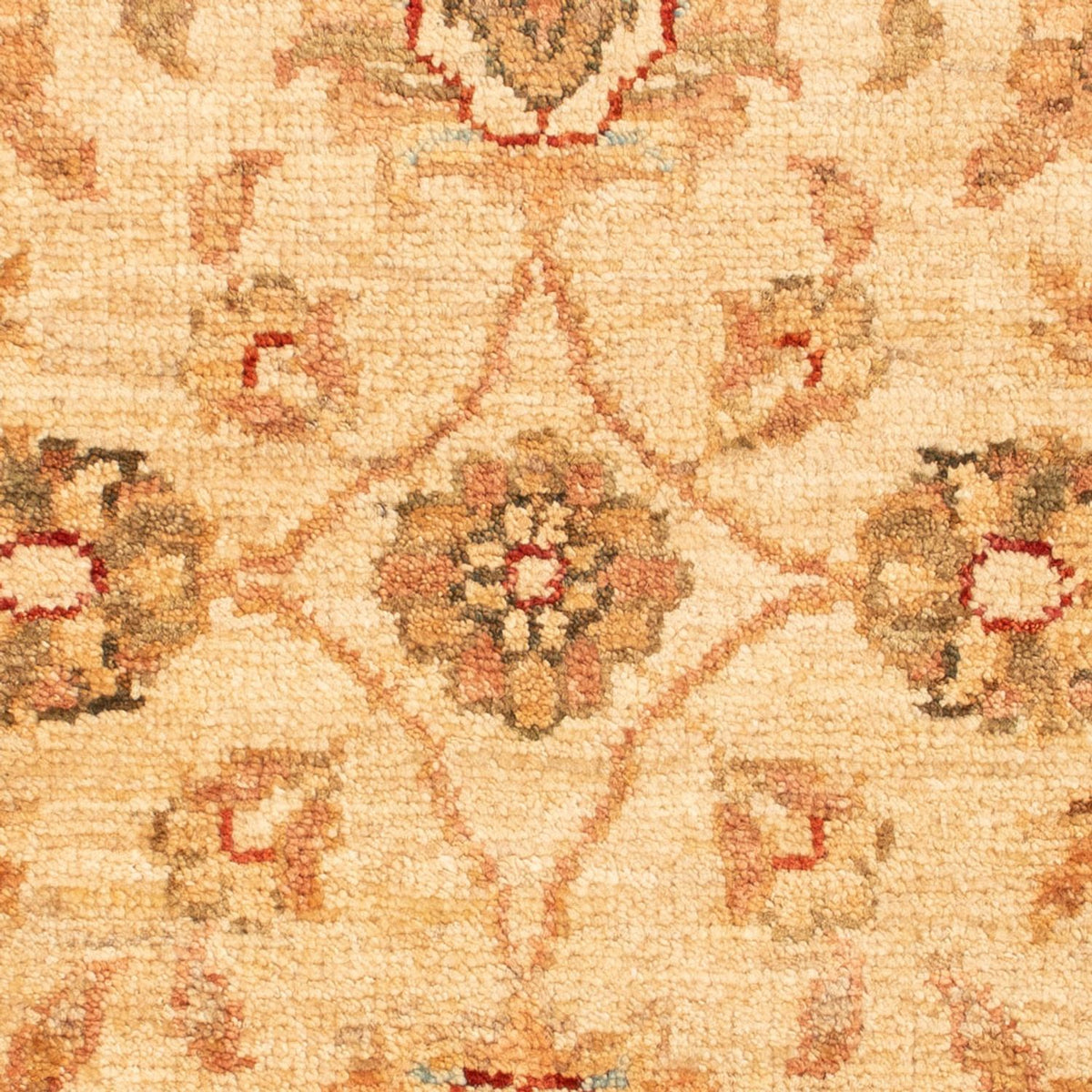 Tapis Ziegler - 76 x 55 cm - beige