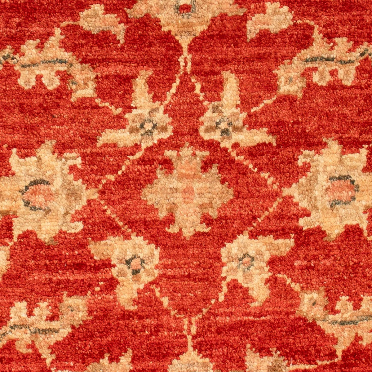 Tapis Ziegler - 68 x 54 cm - rouge