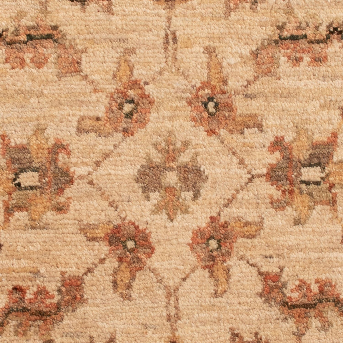Tapis Ziegler - 75 x 52 cm - beige