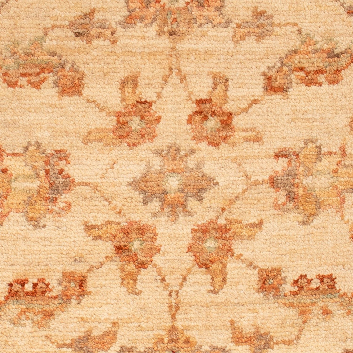 Tapis Ziegler - 70 x 52 cm - beige