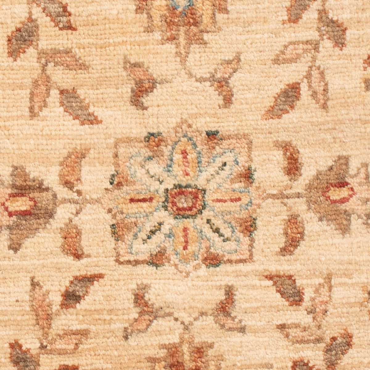 Tapis Ziegler - 70 x 51 cm - beige