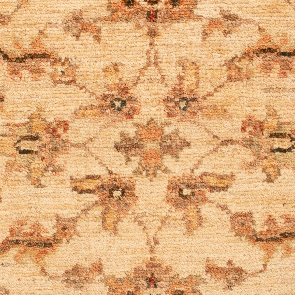 Tapis Ziegler - 65 x 50 cm - beige