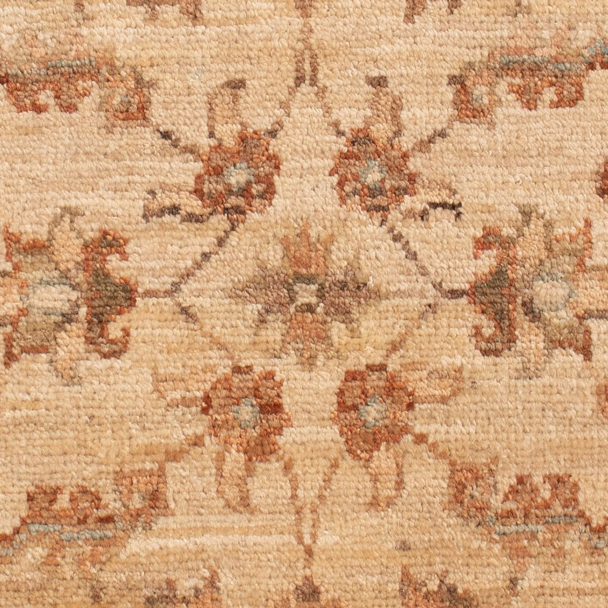 Tapis Ziegler - 70 x 50 cm - beige
