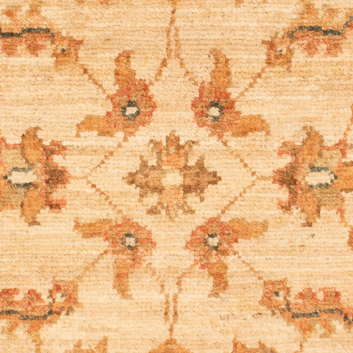 Tapis Ziegler - 72 x 51 cm - beige