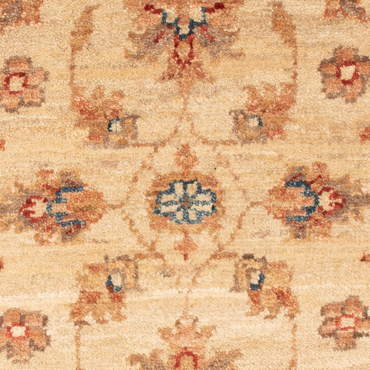 Tapis Ziegler - 70 x 51 cm - beige