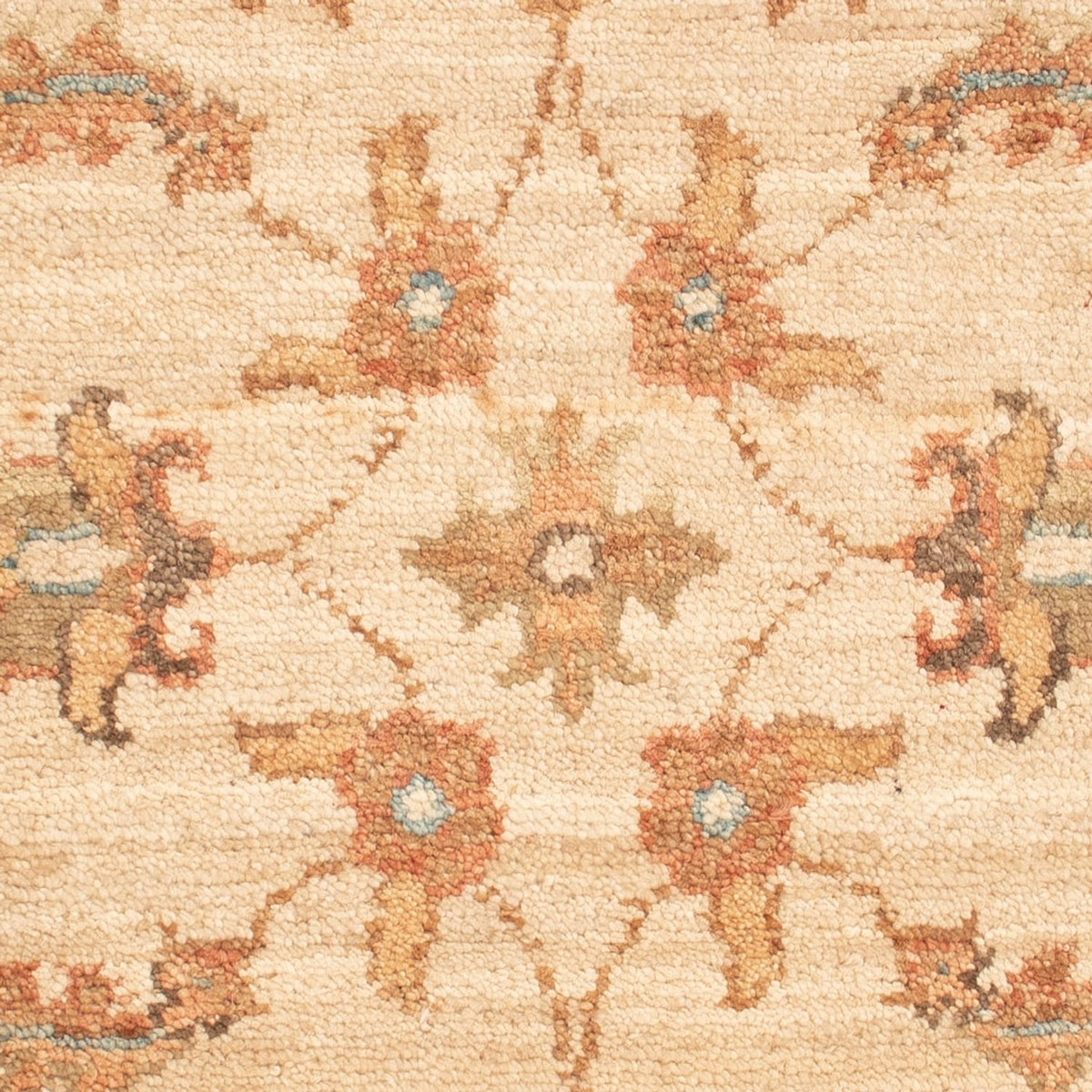 Tapis Ziegler - 65 x 53 cm - beige