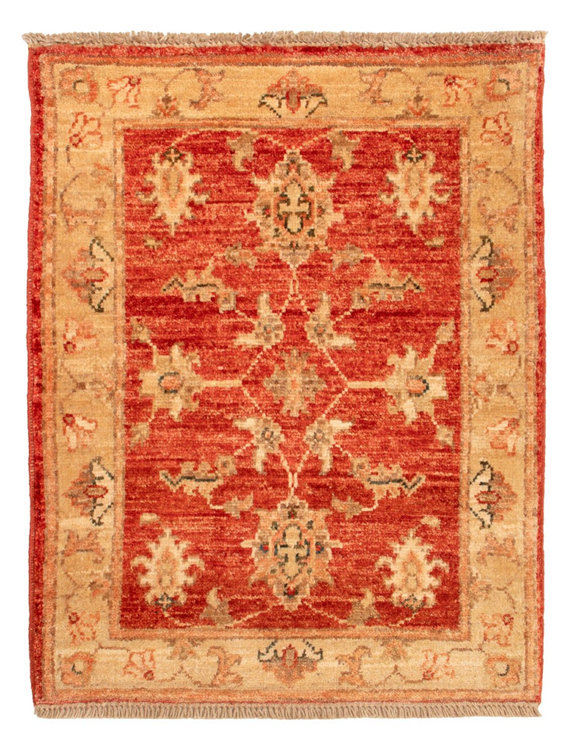 Tapis Ziegler - 66 x 53 cm - rouge