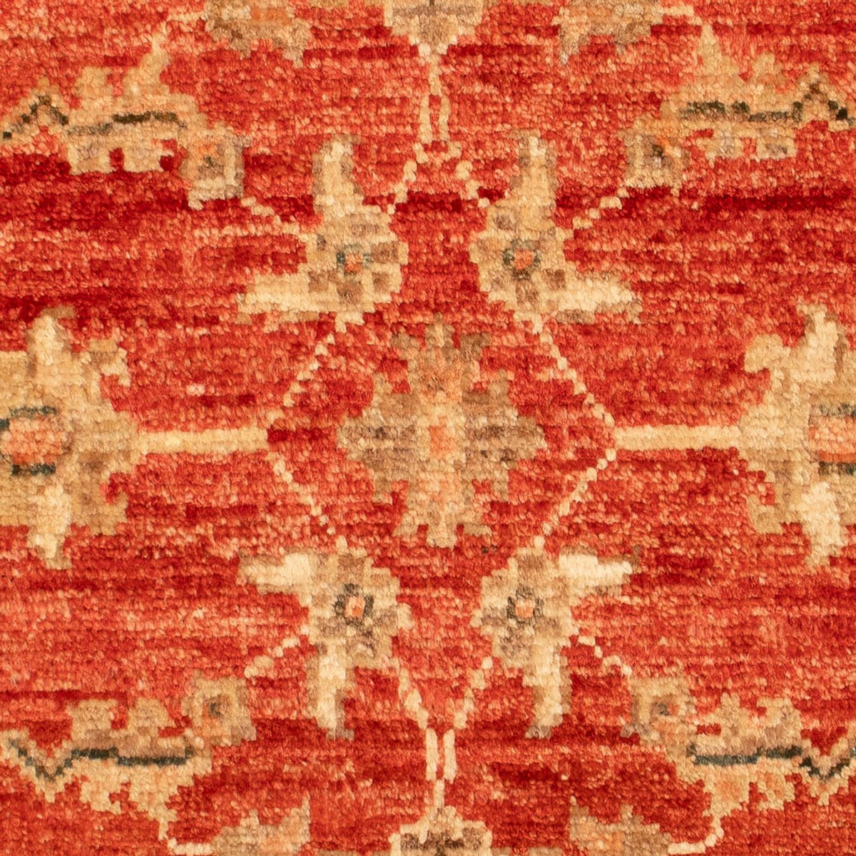 Tapis Ziegler - 66 x 53 cm - rouge