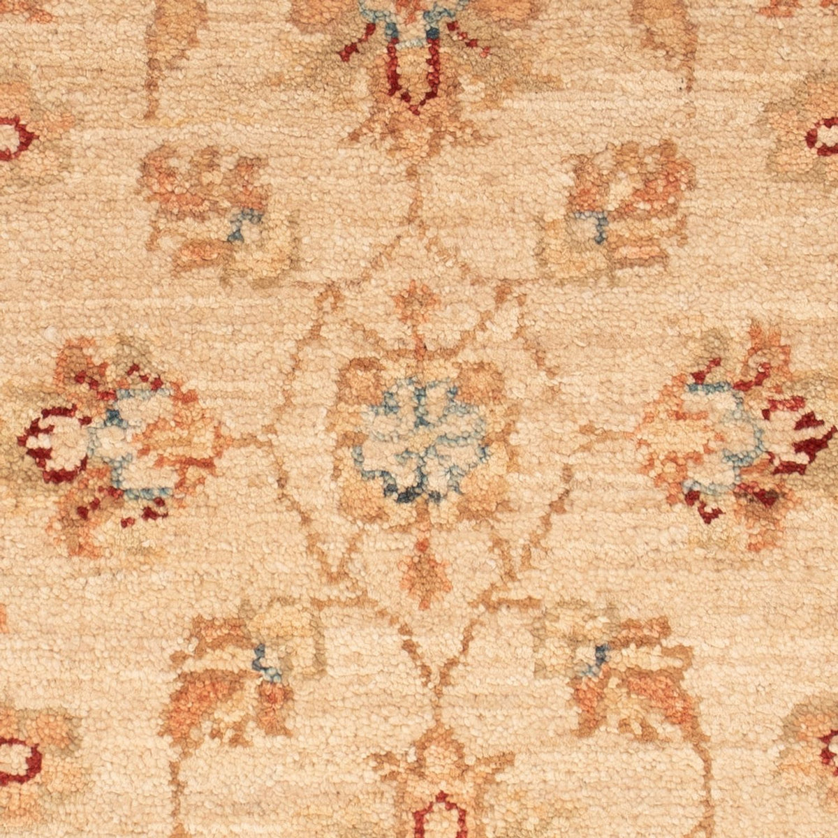 Tapis Ziegler - 65 x 53 cm - beige