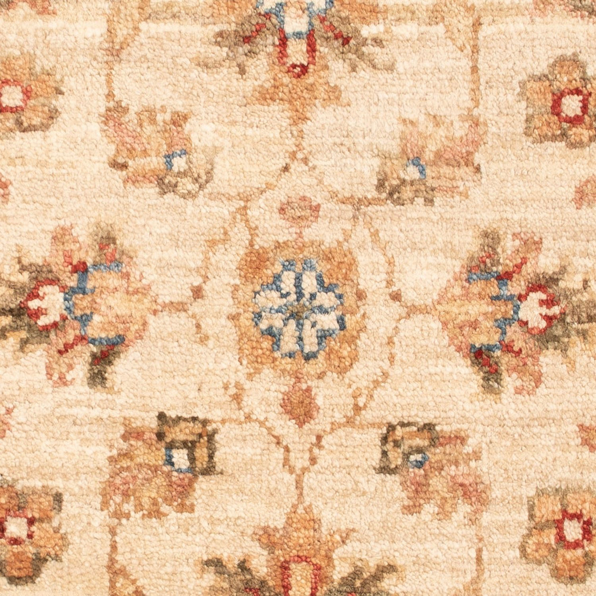 Tapis Ziegler - 70 x 53 cm - beige
