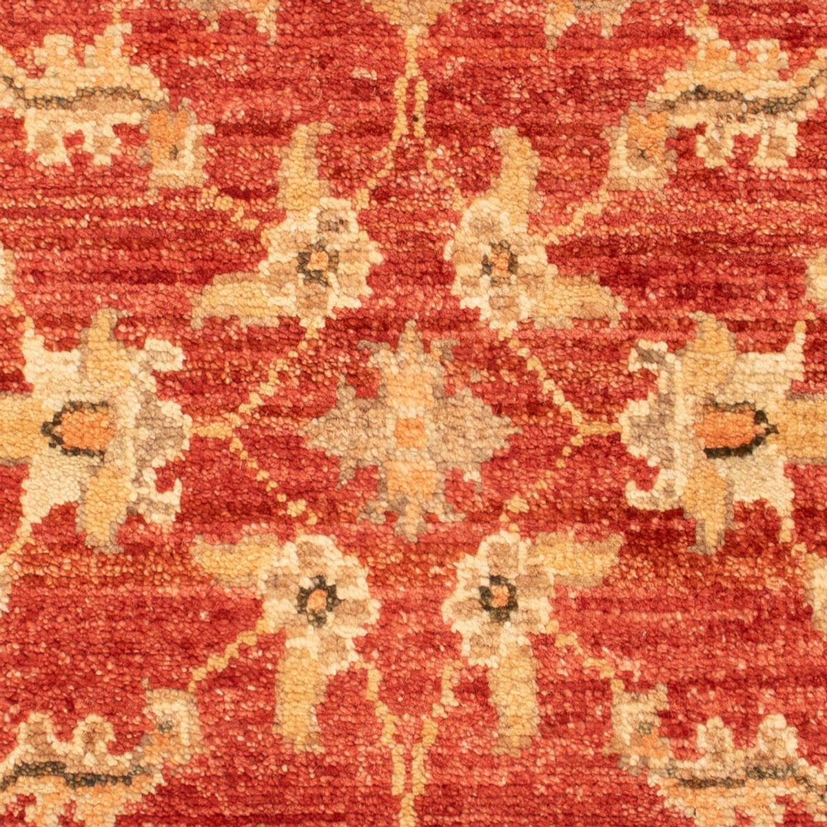 Tapis Ziegler - 71 x 52 cm - rouge