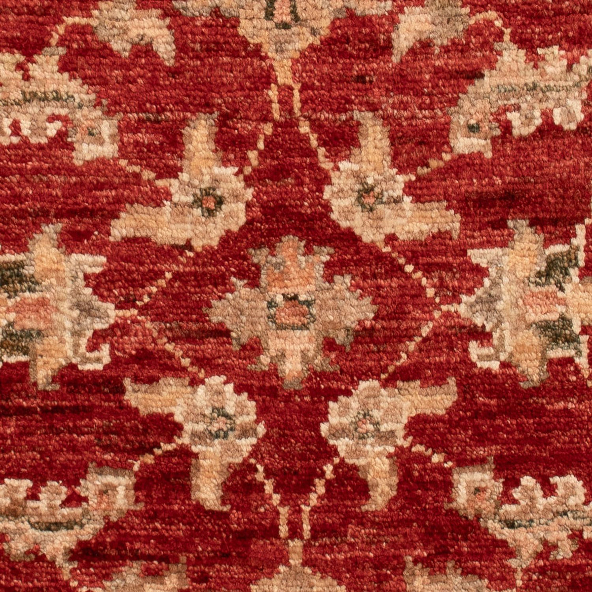 Tapis Ziegler - 73 x 55 cm - rouge