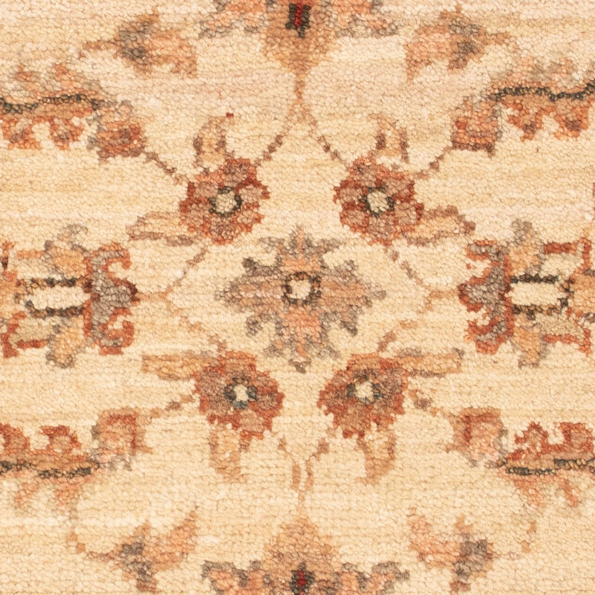 Tapis Ziegler - 68 x 48 cm - beige