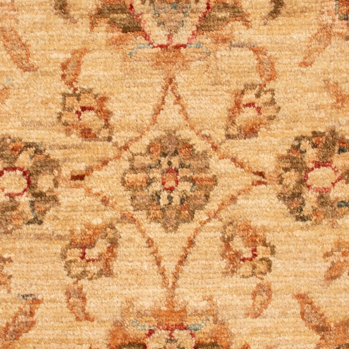 Tapis Ziegler - 72 x 51 cm - beige clair