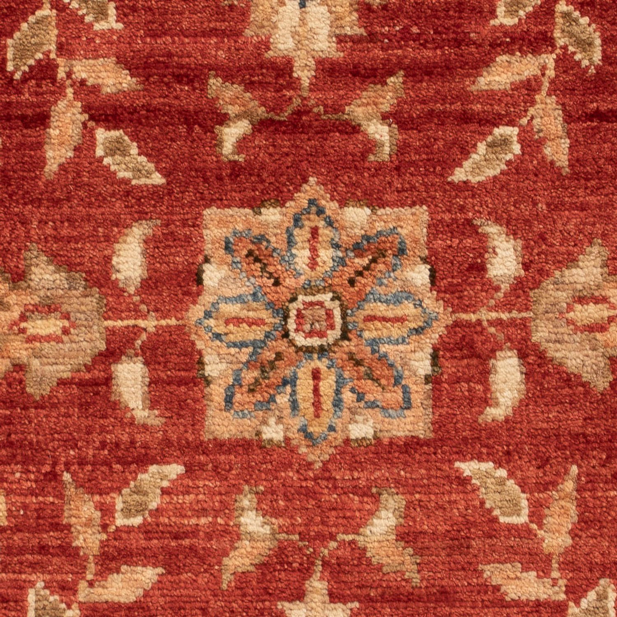 Tapis Ziegler - 72 x 53 cm - rouille