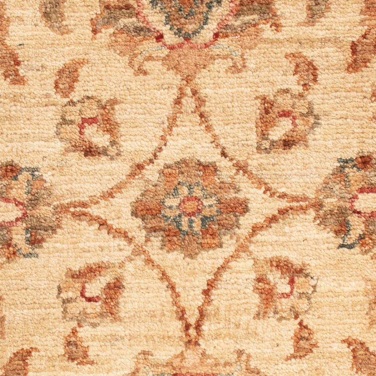 Tapis Ziegler - 66 x 52 cm - beige