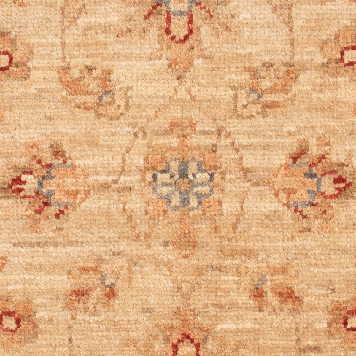 Tapis Ziegler - 70 x 55 cm - beige