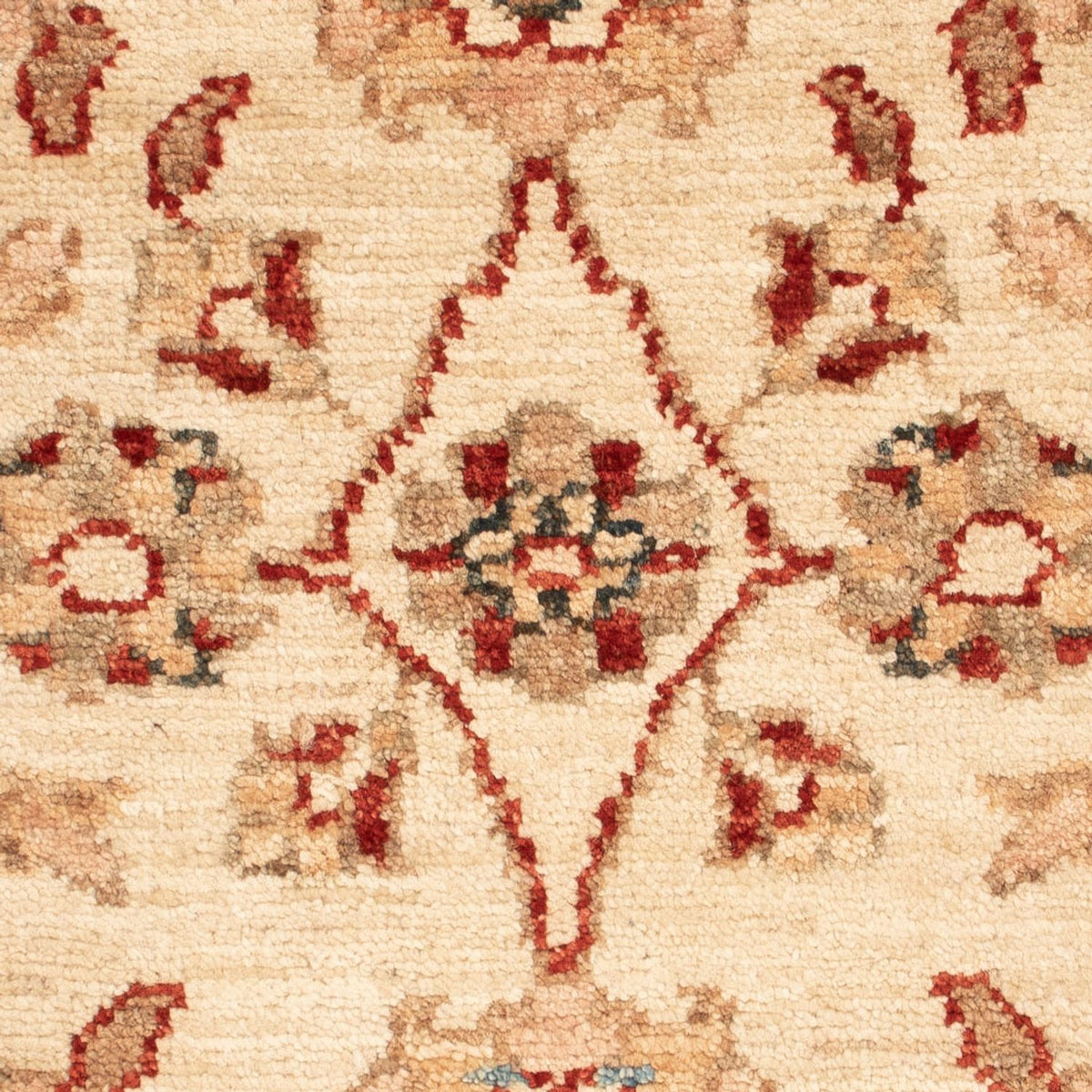 Tapis Ziegler - 68 x 50 cm - beige