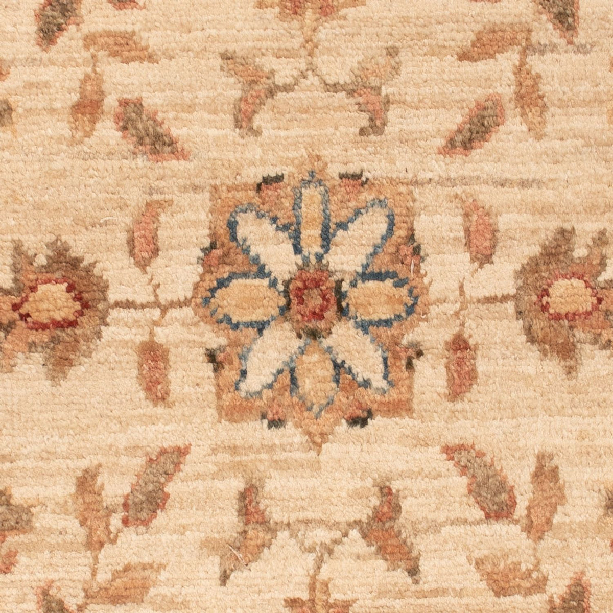 Tapis Ziegler - 67 x 52 cm - beige