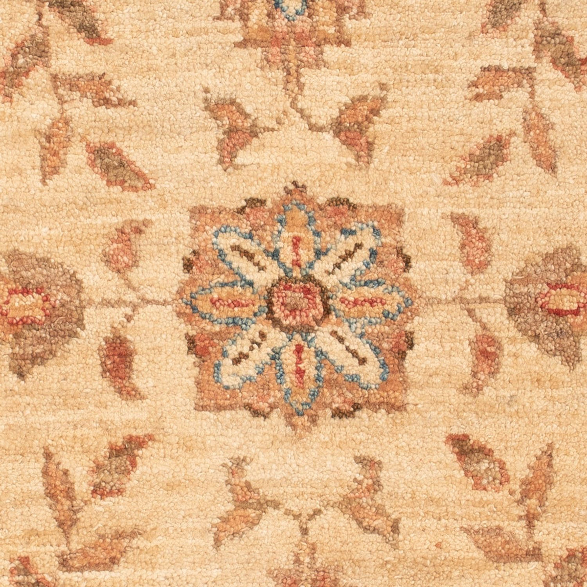 Tapis Ziegler - 68 x 51 cm - beige