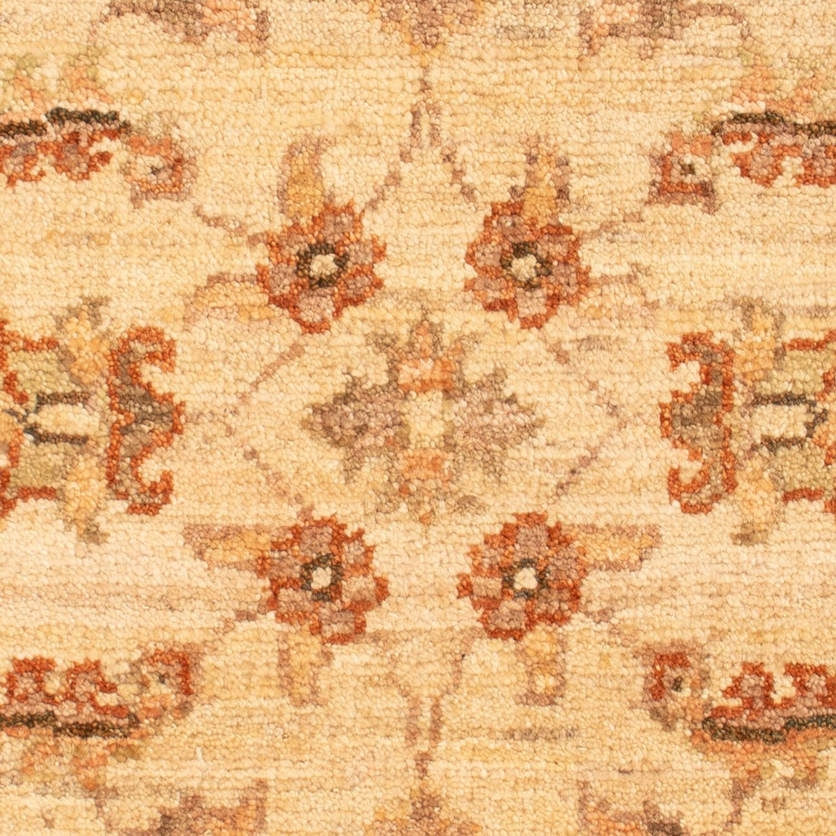 Tapis Ziegler - 70 x 52 cm - beige