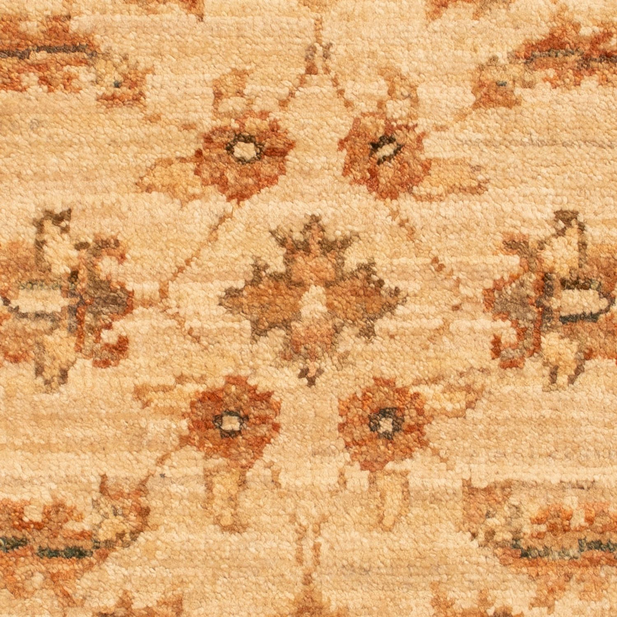 Tapis Ziegler - 68 x 51 cm - beige