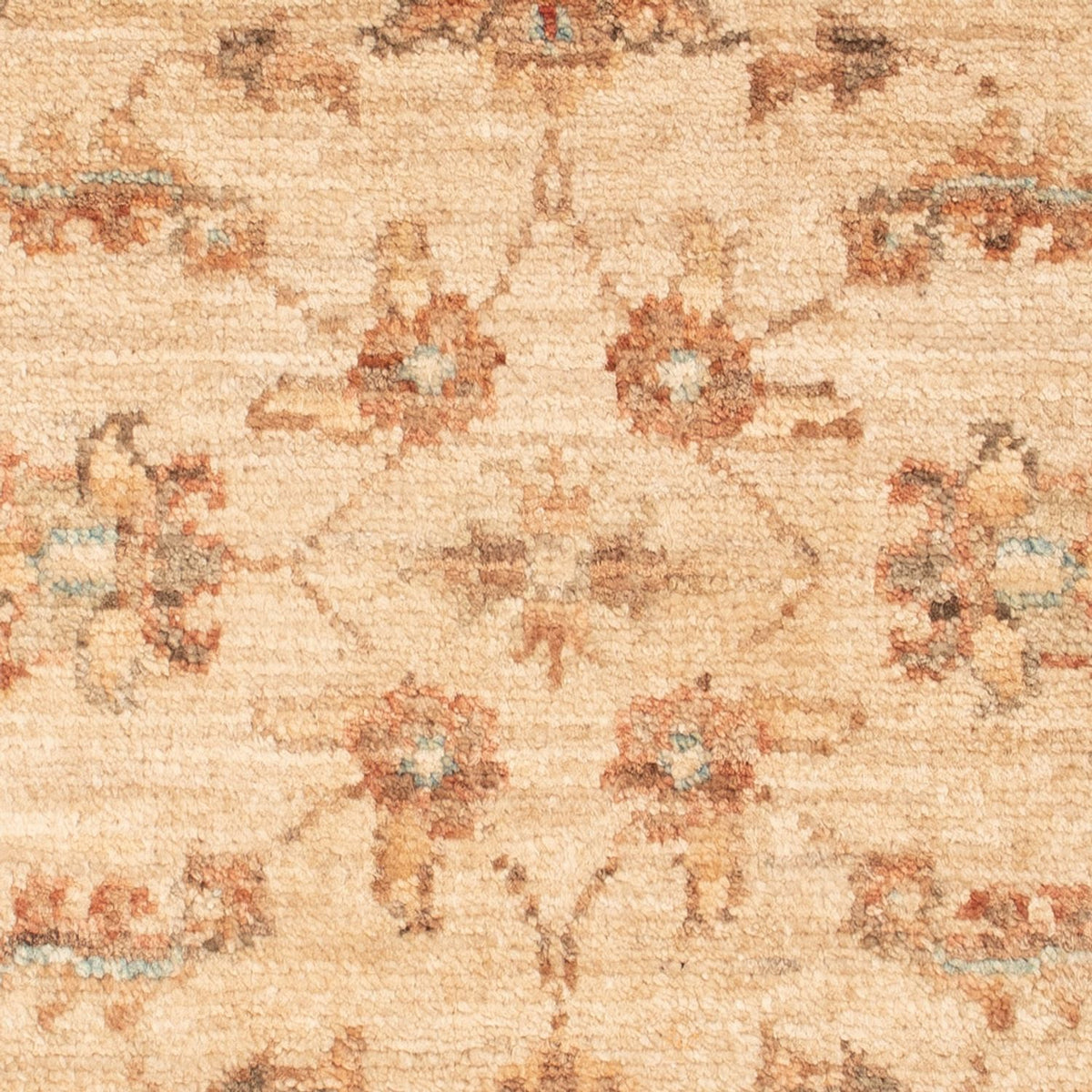 Tapis Ziegler - 72 x 50 cm - beige