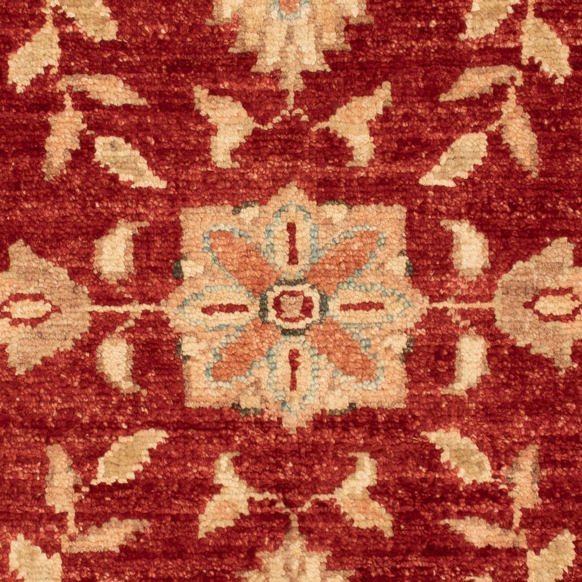 Tapis Ziegler - 69 x 52 cm - rouge bordeaux