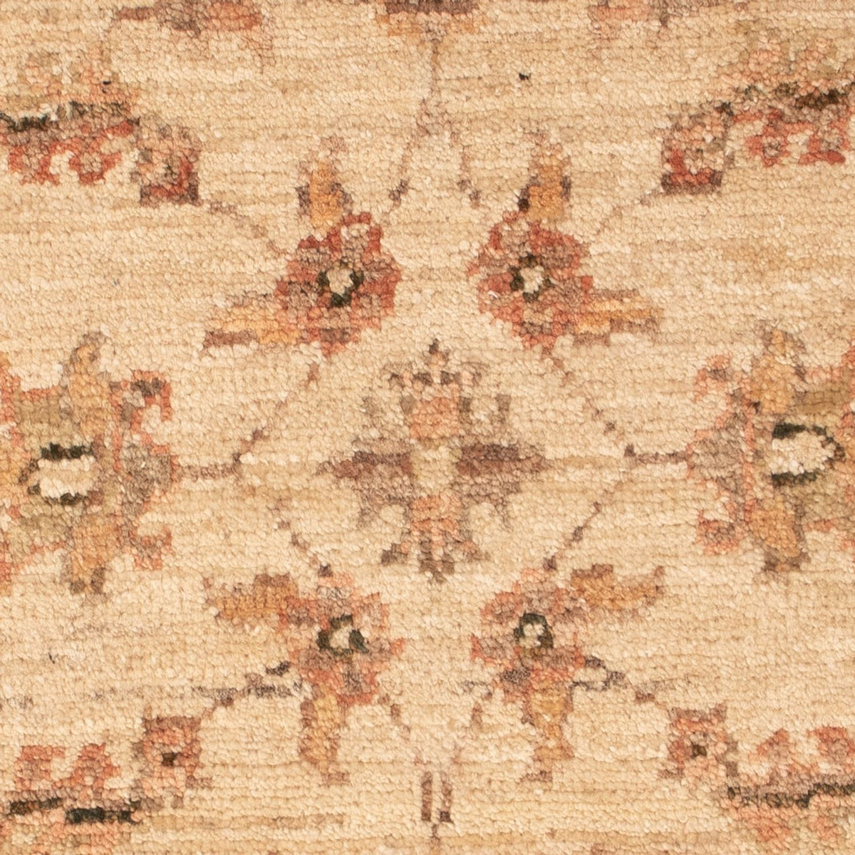 Tapis Ziegler - 72 x 49 cm - beige