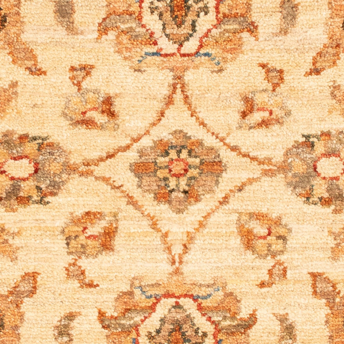 Tapis Ziegler - 72 x 52 cm - beige