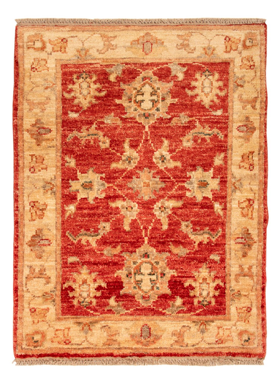 Tapis Ziegler - 70 x 56 cm - rouge