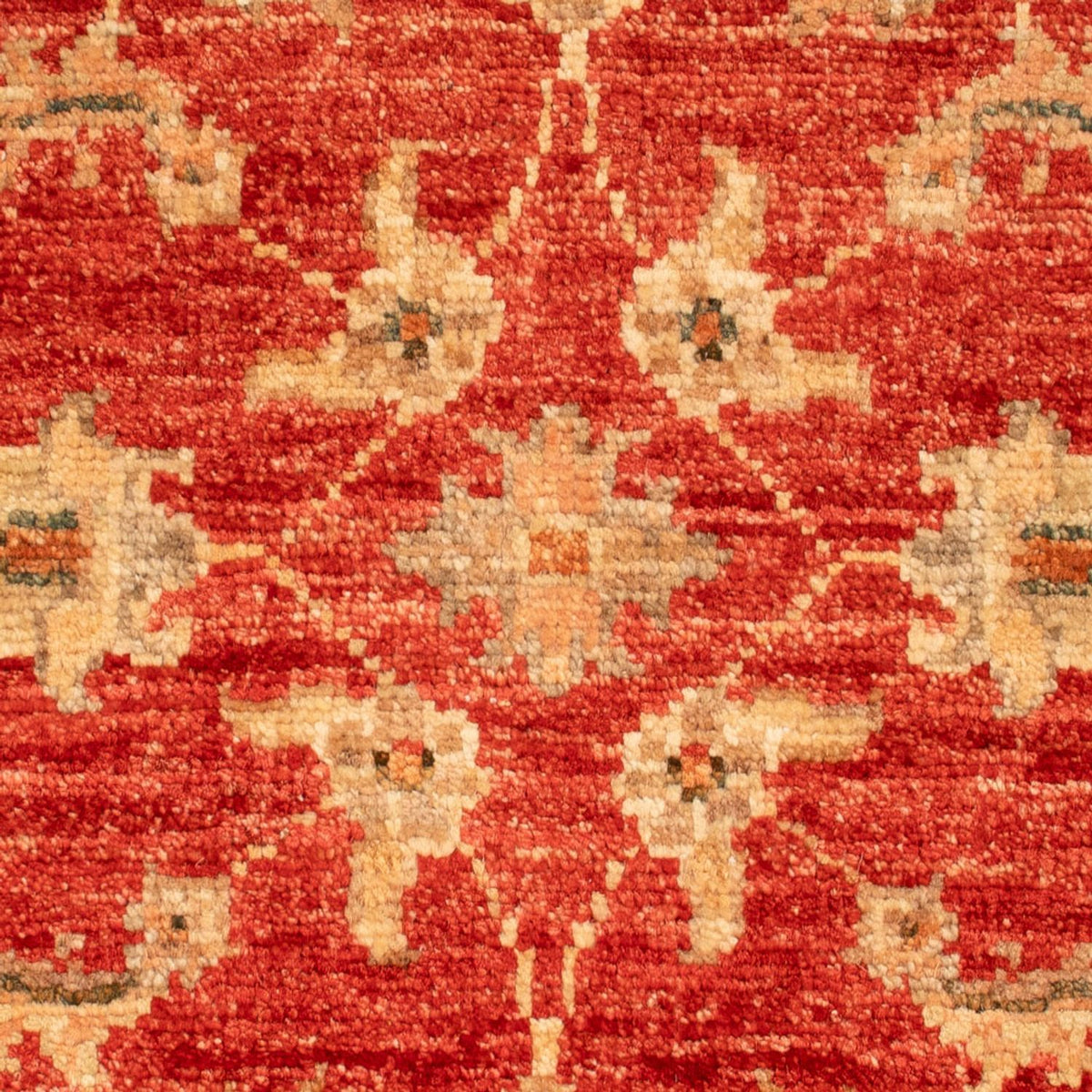 Tapis Ziegler - 70 x 56 cm - rouge
