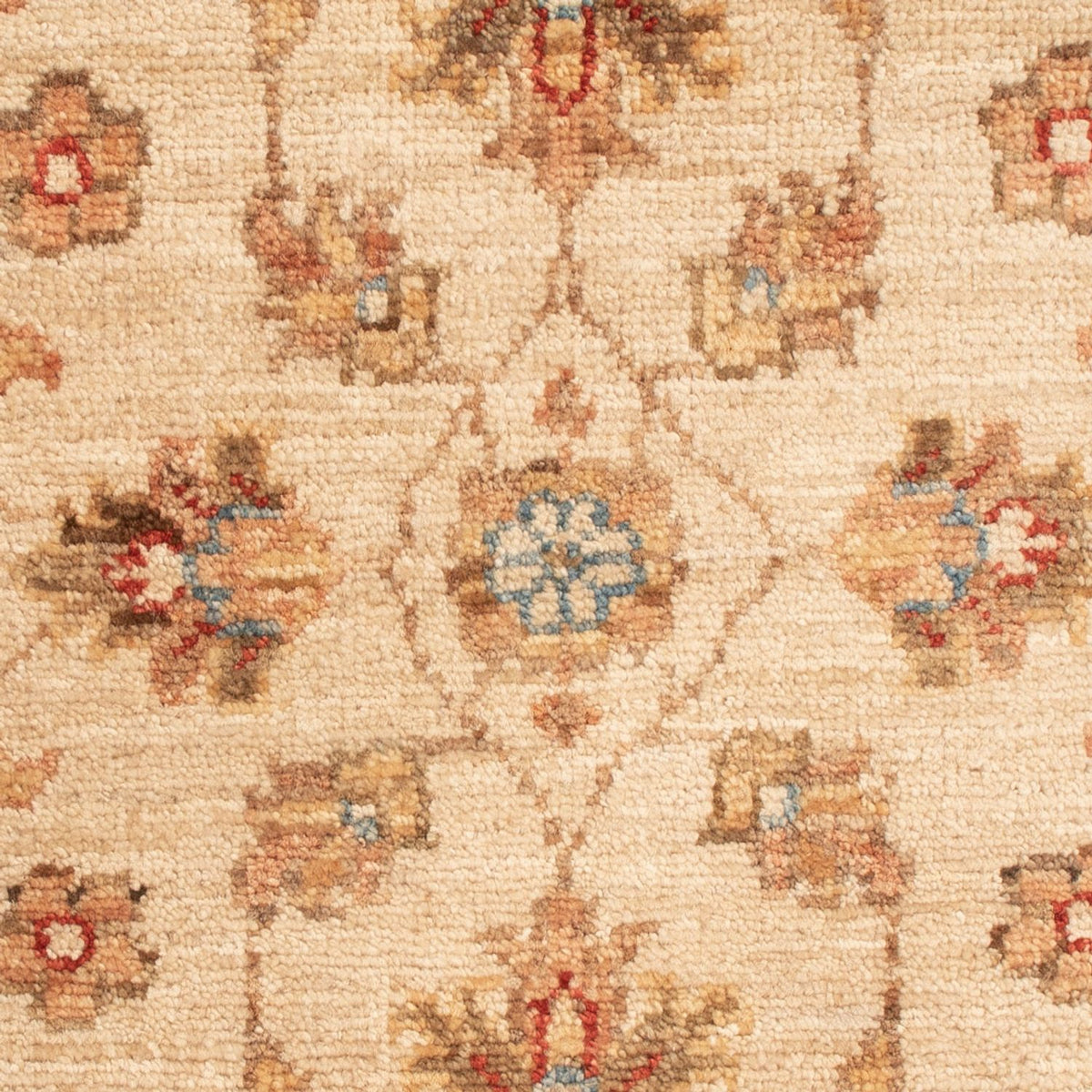Tapis Ziegler - 74 x 52 cm - beige