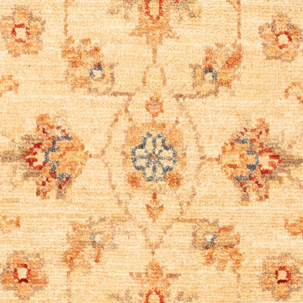 Tapis Ziegler - 74 x 54 cm - beige