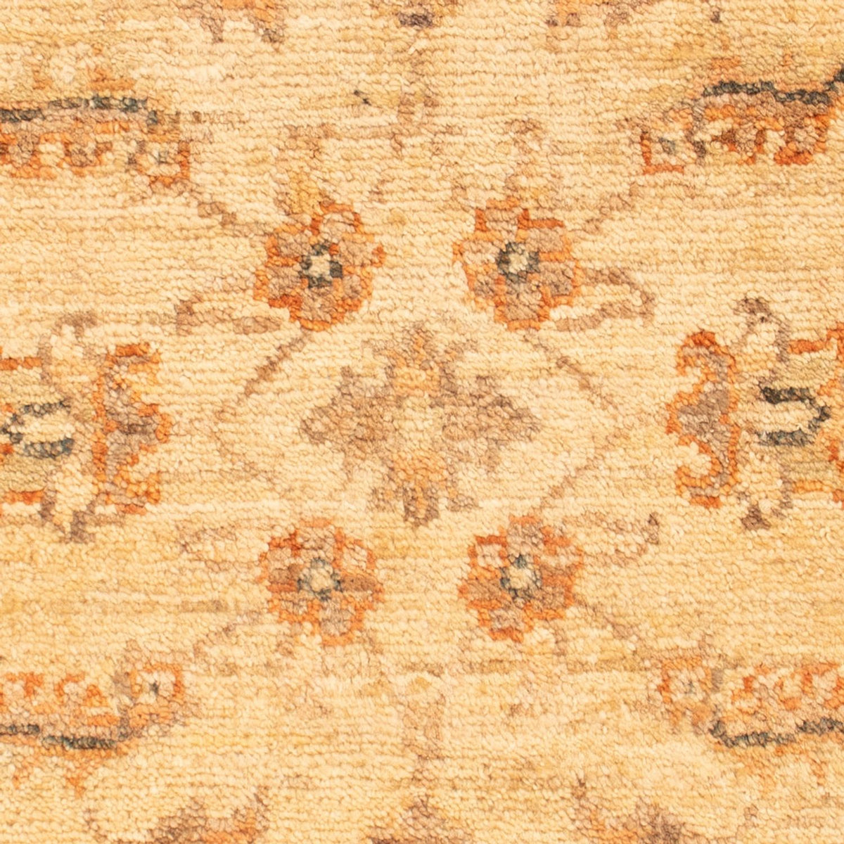 Tapis Ziegler - 70 x 52 cm - beige