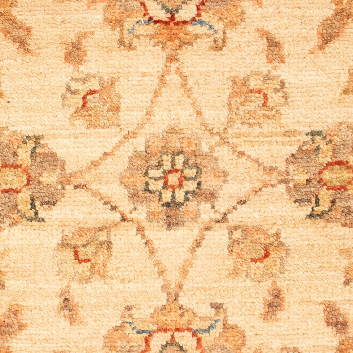 Tapis Ziegler - 69 x 50 cm - beige