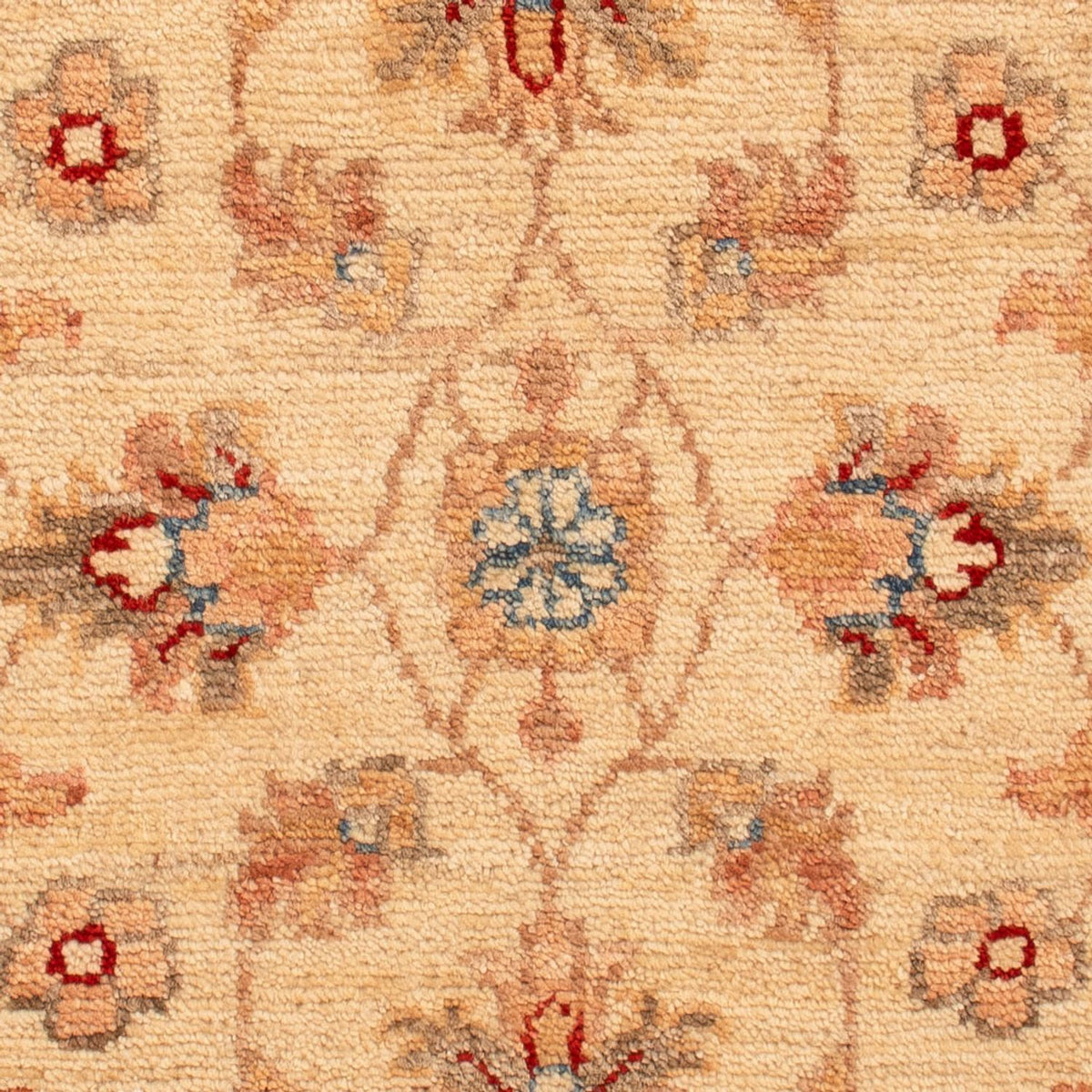 Tapis Ziegler - 72 x 50 cm - beige