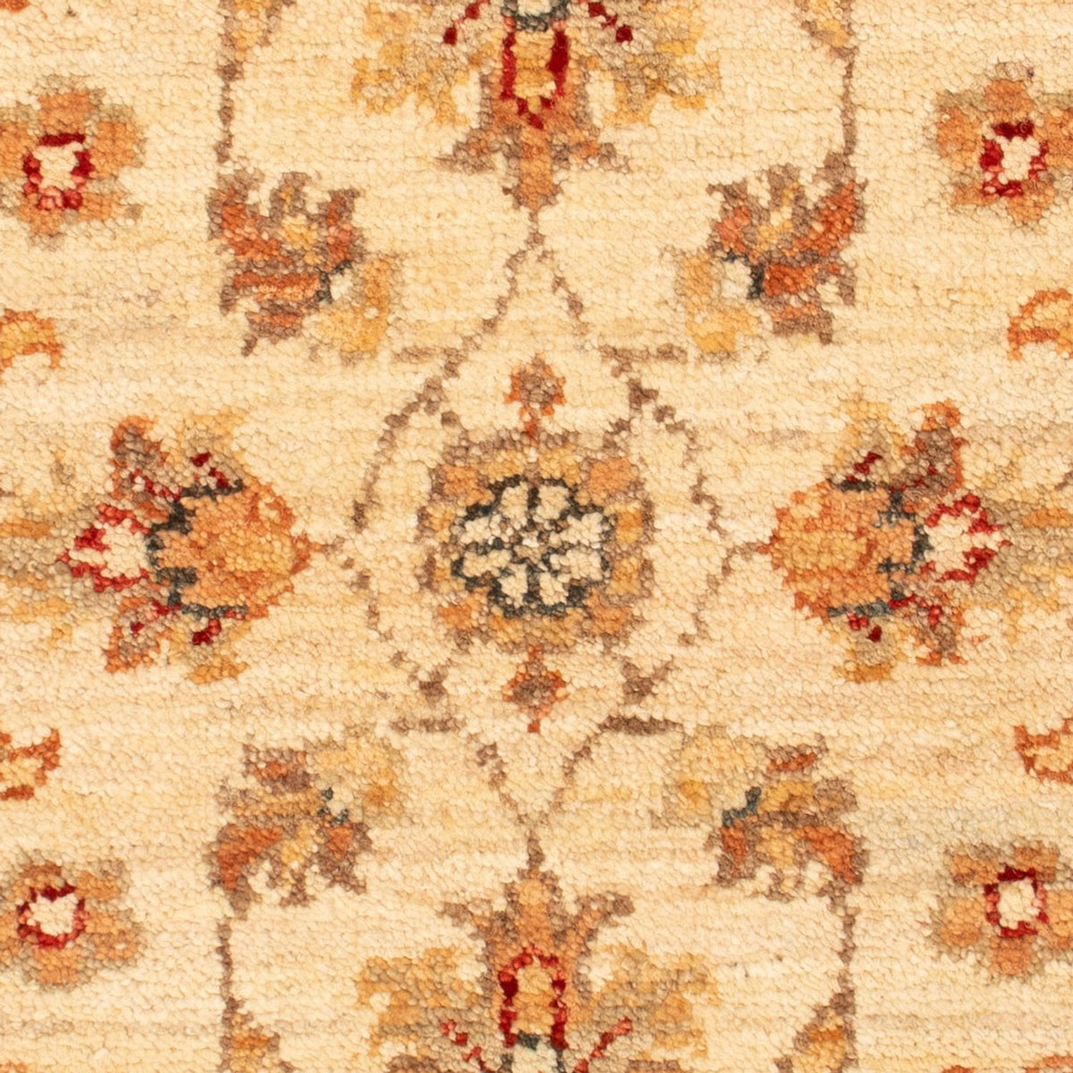 Tapis Ziegler - 74 x 50 cm - beige