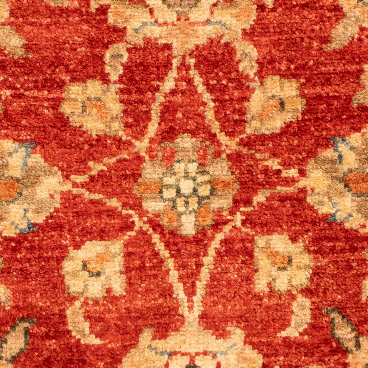 Tapis Ziegler - 67 x 52 cm - rouge