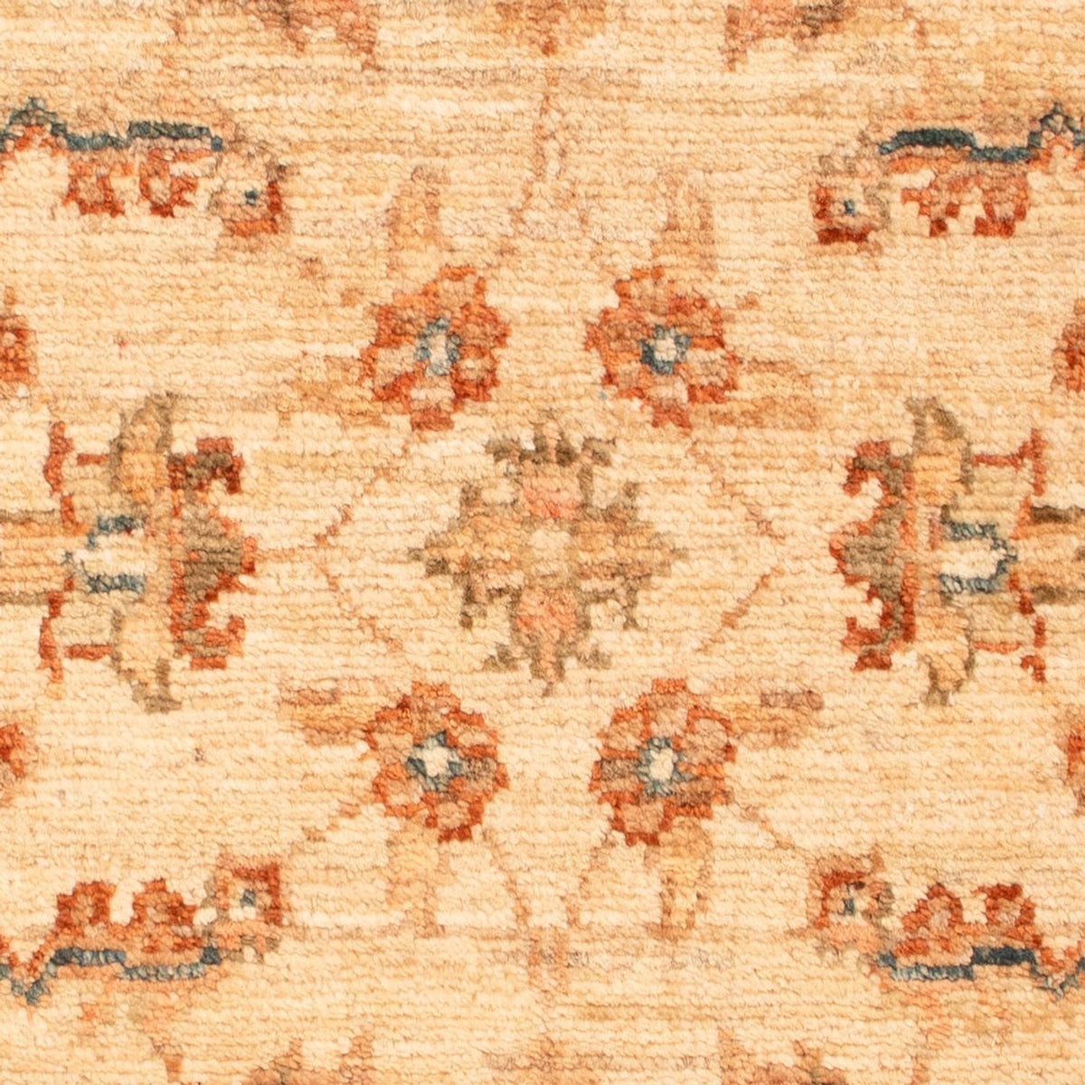 Tapis Ziegler - 71 x 48 cm - beige