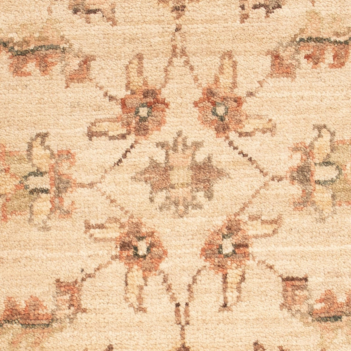 Tapis Ziegler - 71 x 50 cm - beige