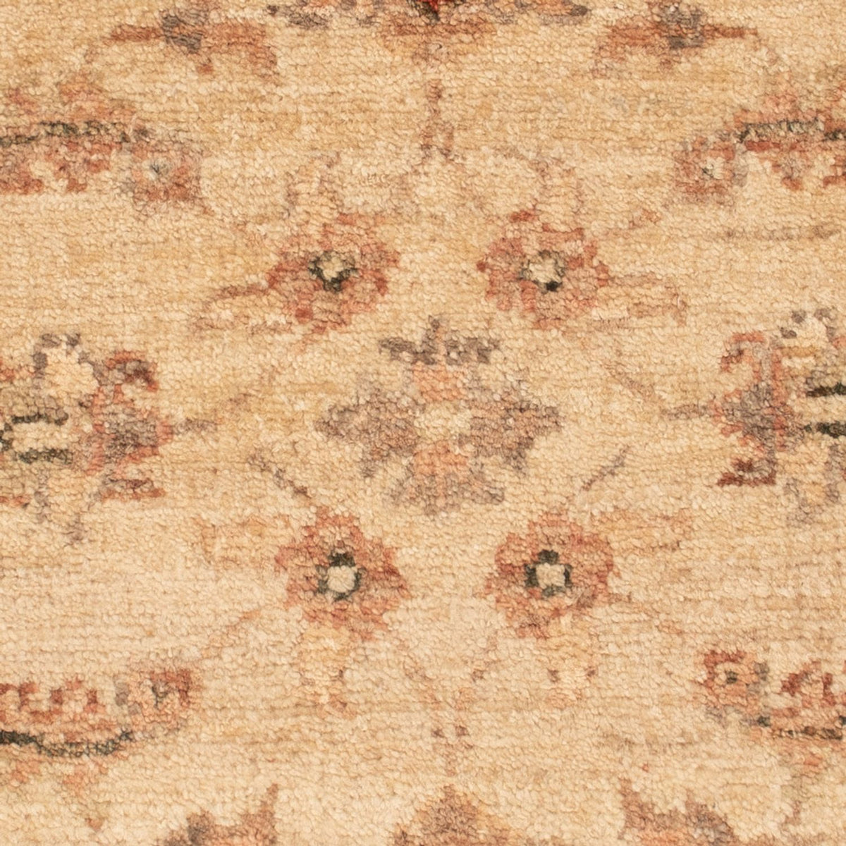 Tapis Ziegler - 65 x 51 cm - beige