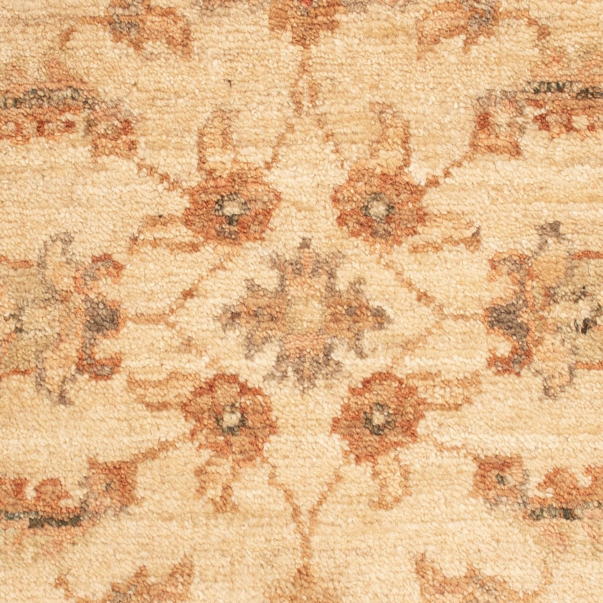 Tapis Ziegler - 65 x 50 cm - beige