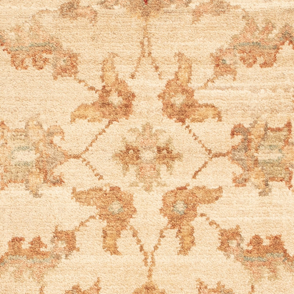 Tapis Ziegler - 74 x 52 cm - beige